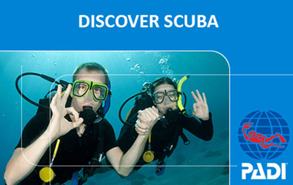 Discover Scuba Diving, PADI Open Water Certification, Jamaica