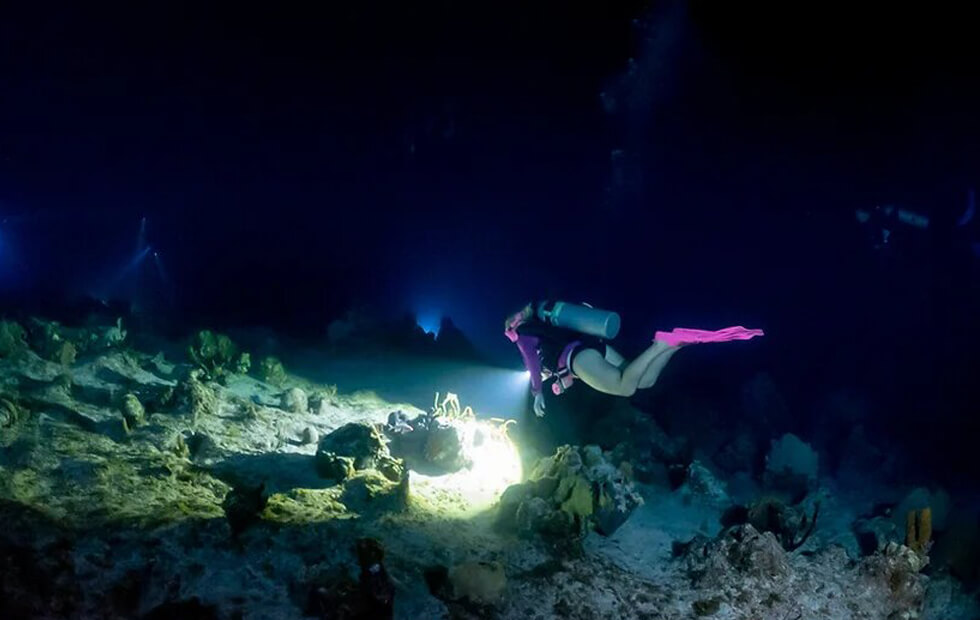 Night Dive, Jamaica, Caribbean