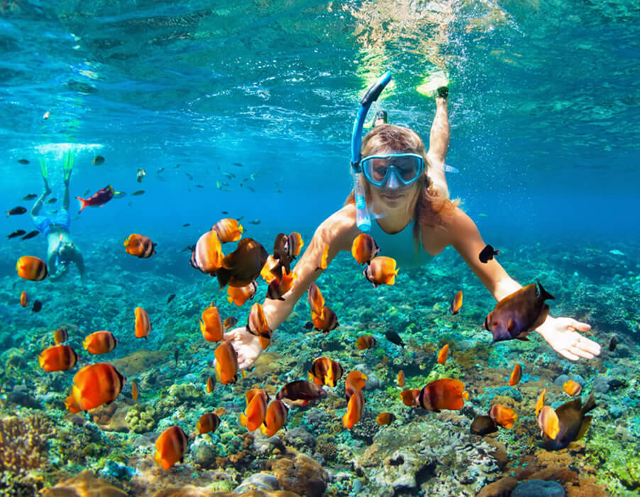 Snorkeling Tour Jamaica Falmouth